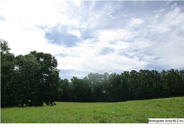 776 Robbins Branch Road, Unit 1 Altoona, AL 35952 - Photo 18 of 30 Gallery Image 18