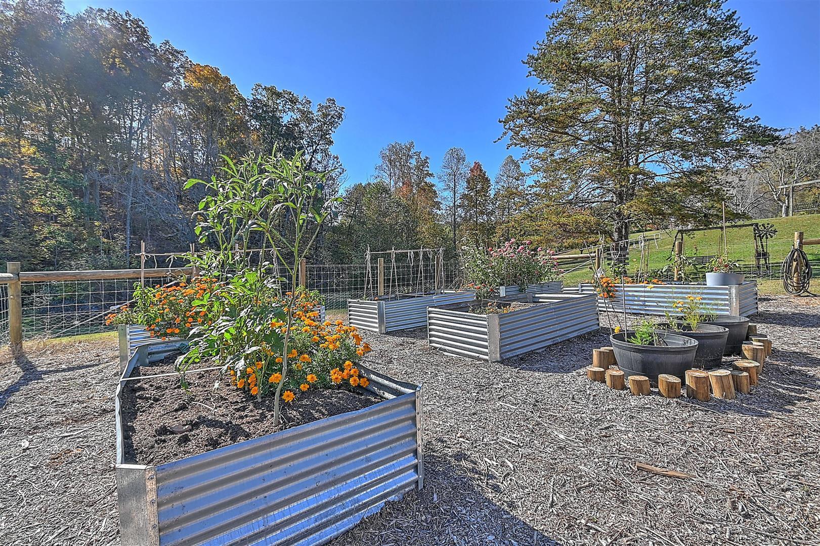 970 Fodderstack Mountain Loop Greeneville, TN 37745 - Photo 30 of 71 30