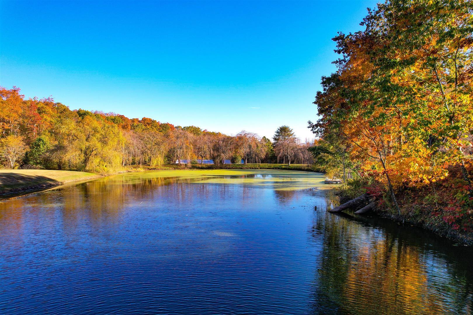 970 Fodderstack Mountain Loop Greeneville, TN 37745 - Photo 46 of 71 46