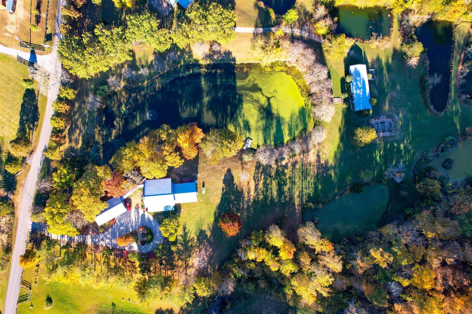 970 Fodderstack Mountain Loop Greeneville, TN 37745 - Photo 47 of 71 47