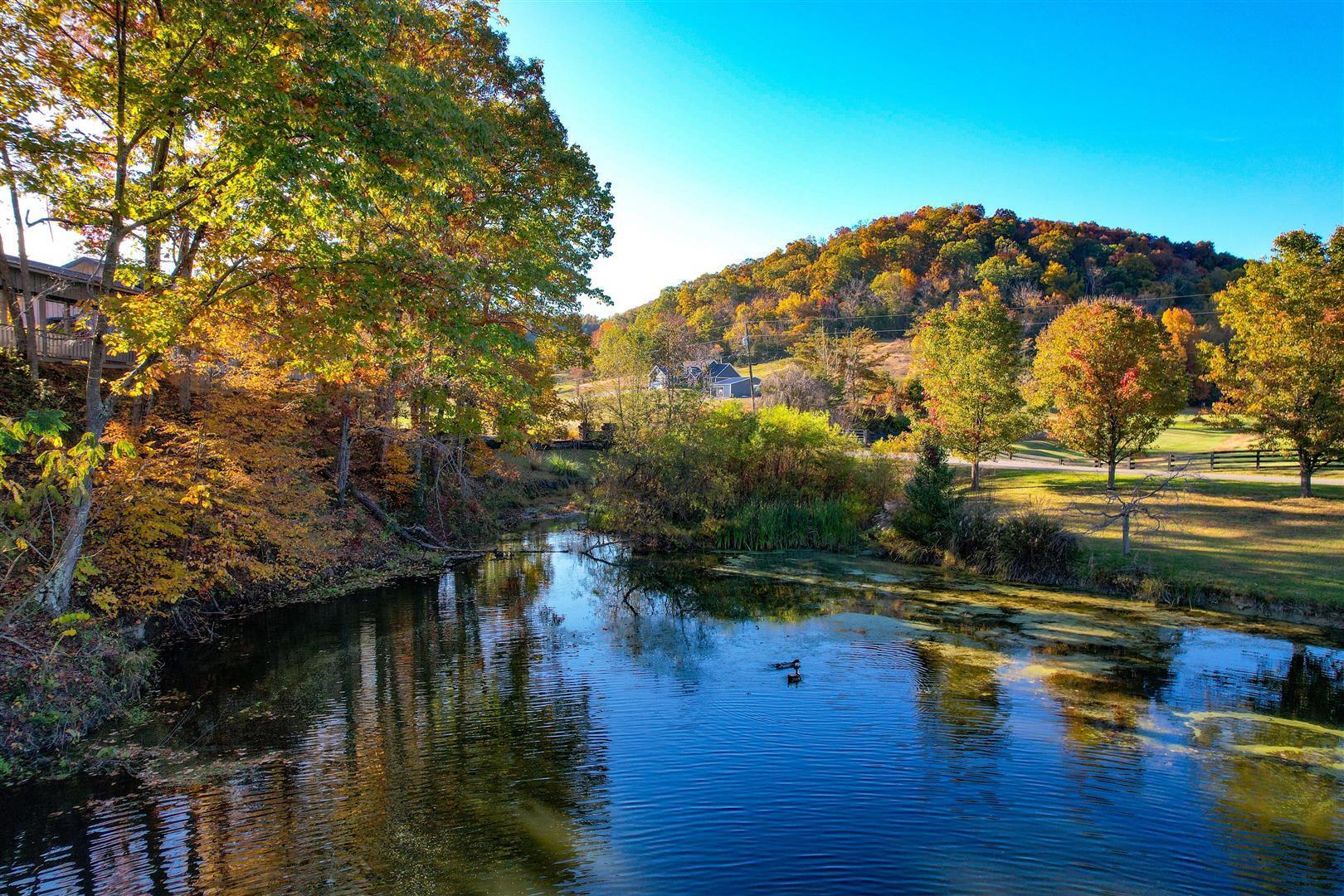 970 Fodderstack Mountain Loop Greeneville, TN 37745 - Photo 49 of 71 49