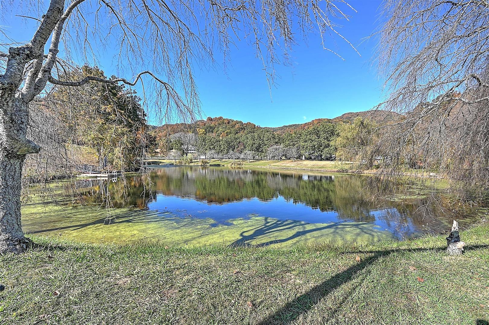 970 Fodderstack Mountain Loop Greeneville, TN 37745 - Photo 55 of 71 55