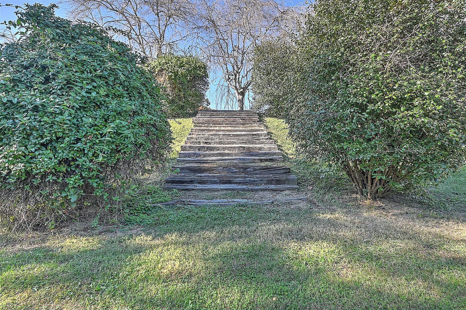 970 Fodderstack Mountain Loop Greeneville, TN 37745 - Photo 58 of 71 58