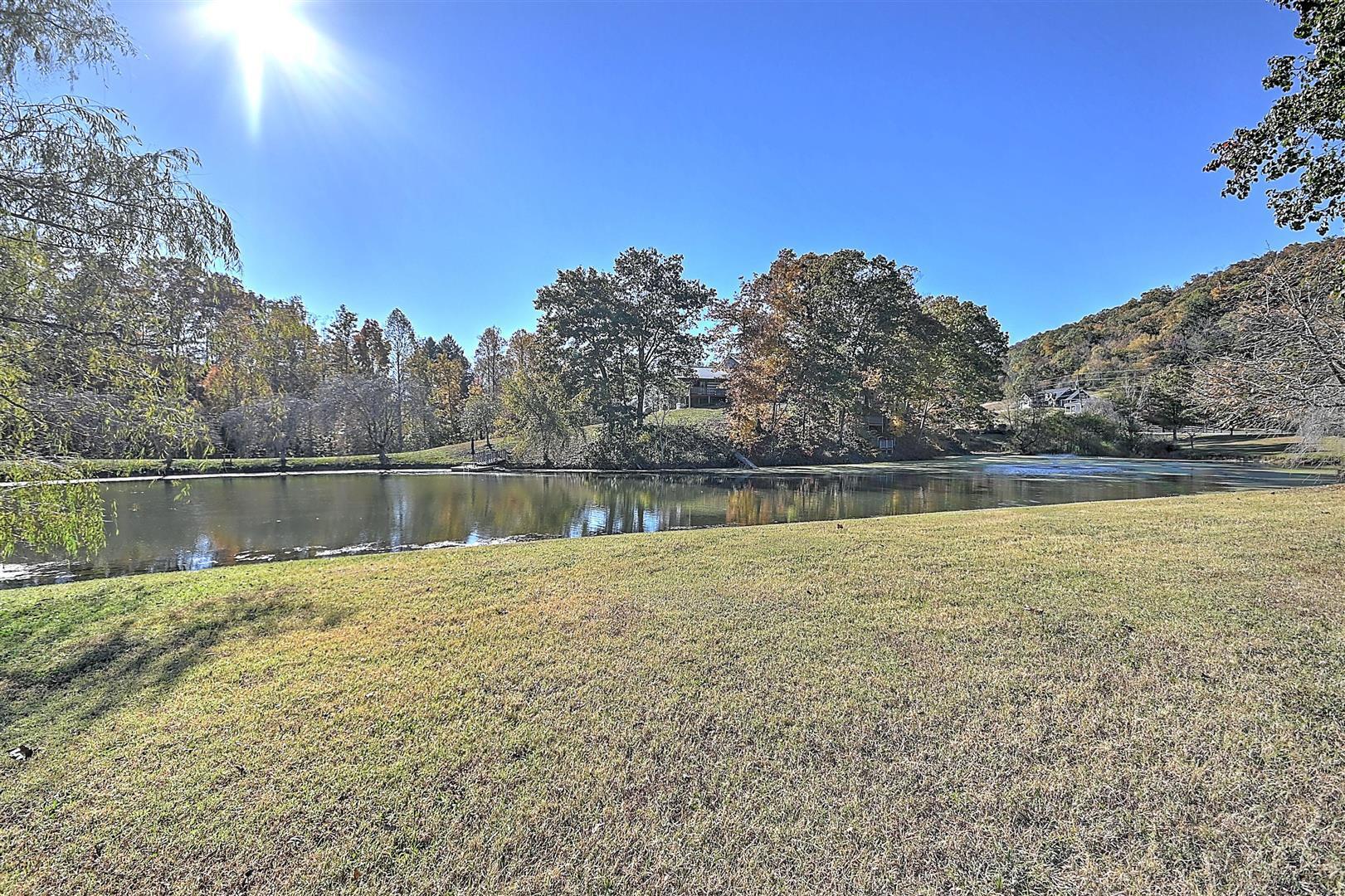 970 Fodderstack Mountain Loop Greeneville, TN 37745 - Photo 60 of 71 60
