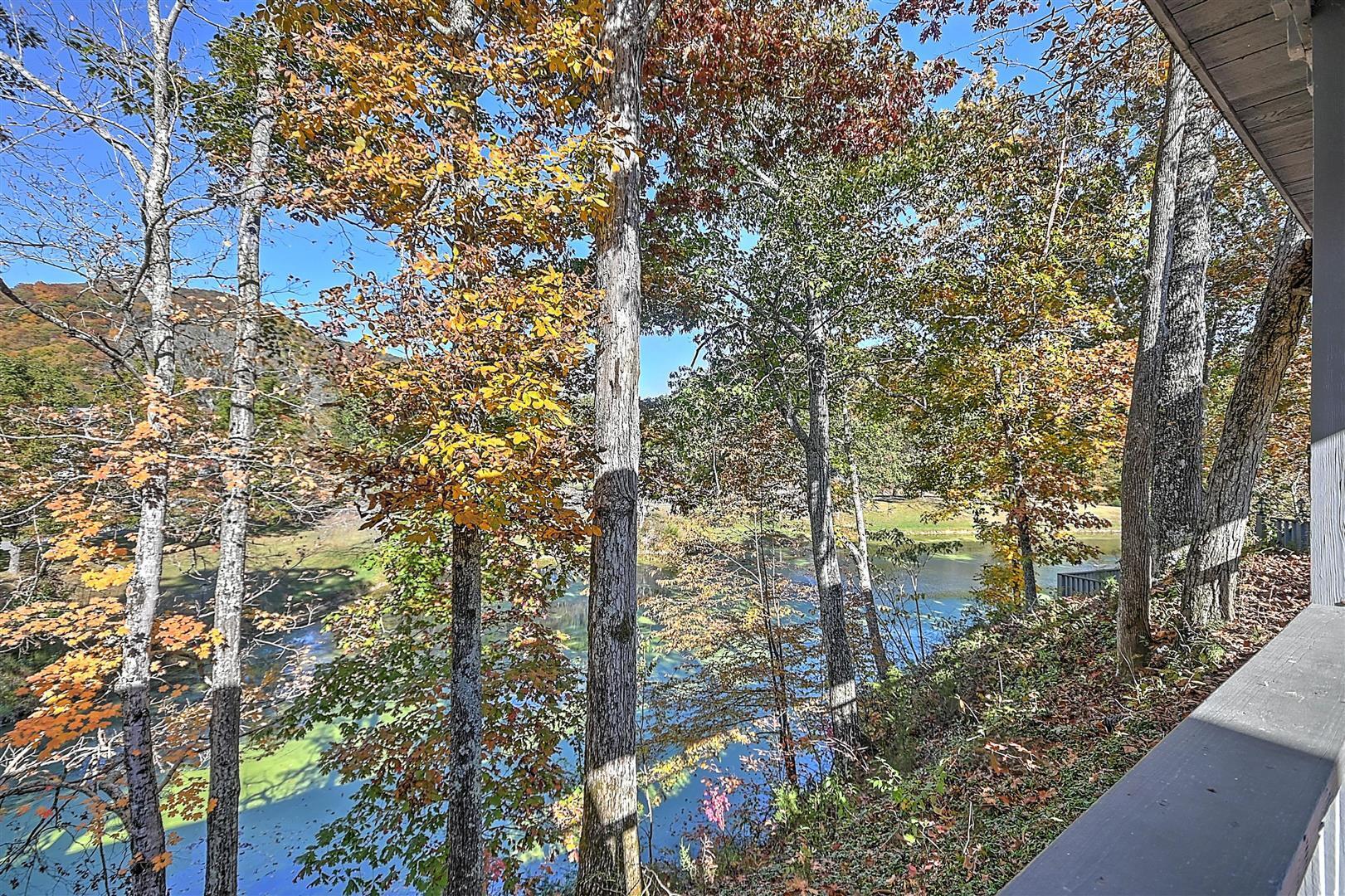 970 Fodderstack Mountain Loop Greeneville, TN 37745 - Photo 66 of 71 66