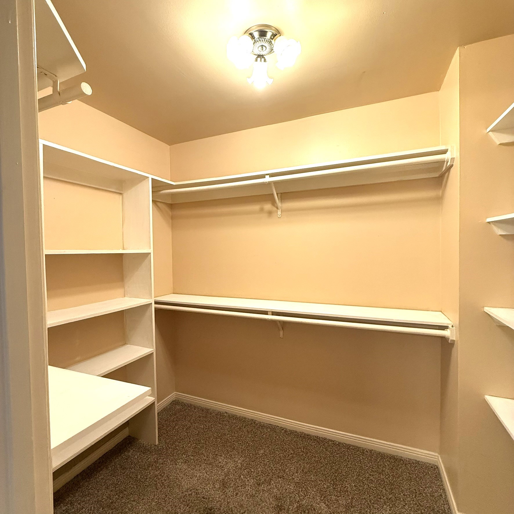 3525 Sage Road, Unit 716 Houston, TX 77056 - Photo 20 of 25 Primary Walkin Closet