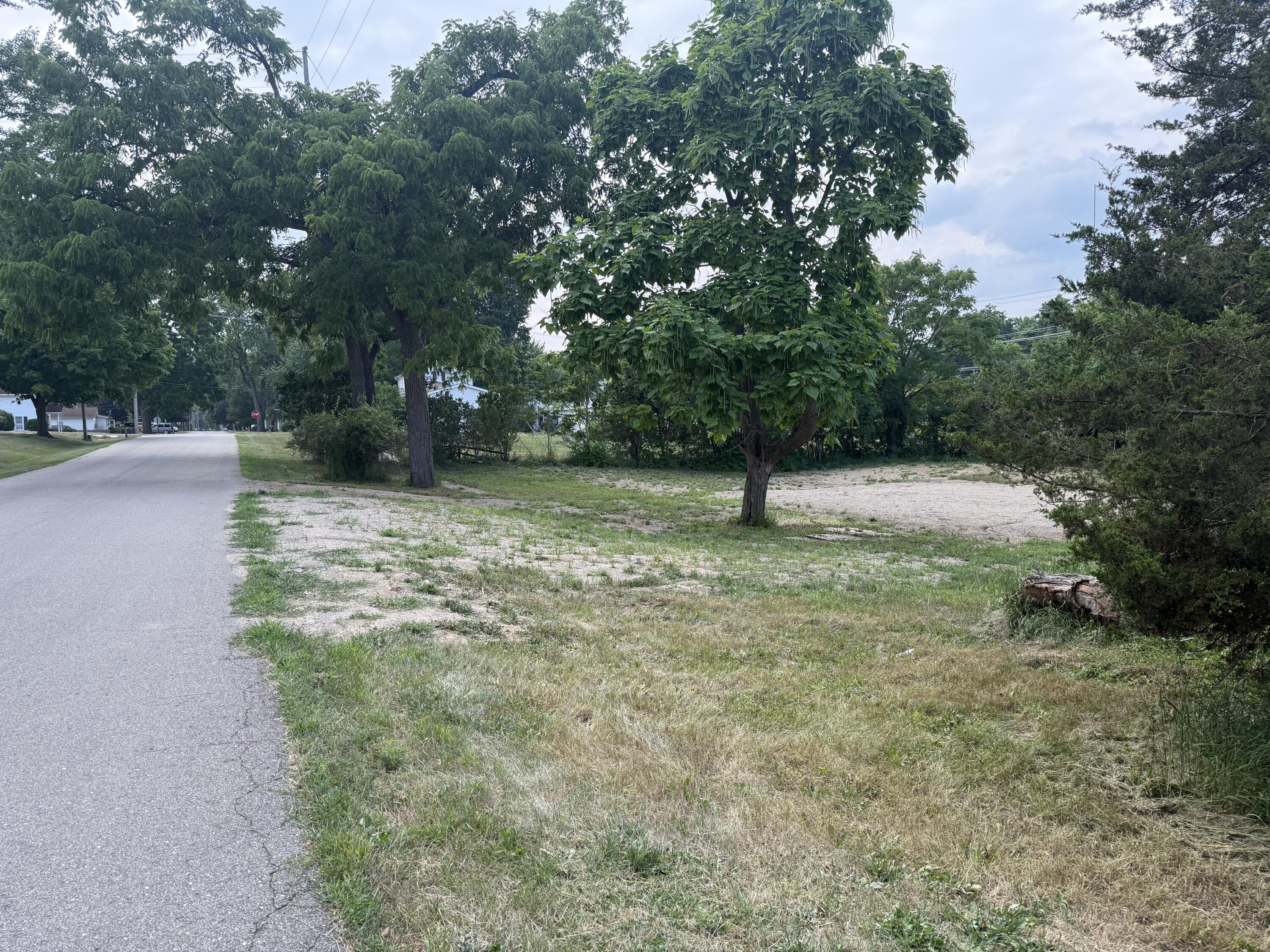 310 School Street Hudson, MI 49247 - Photo 2 of 5 IMG_0428