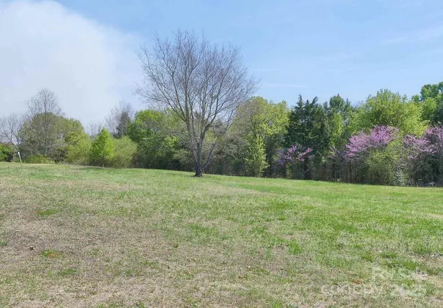 a view of outdoor space and yard