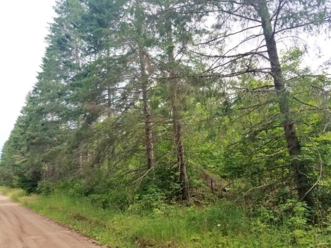 1 7 East 7 Mile Road Luther, MI 49656 - Photo 2 of 2 20200714_150939