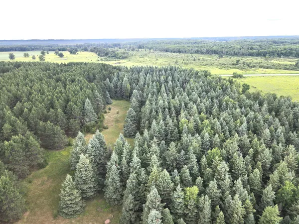 $174,900 | Tbd-20-ac Sleepy Hollow Road, Fort Ripley, MN 56449