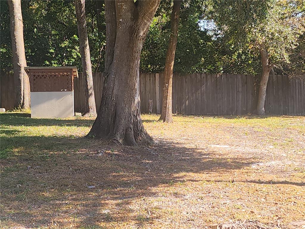 63 Estrella Road DeBary, FL 32713 - Photo 49 of 50 a view of swimming pool with a yard