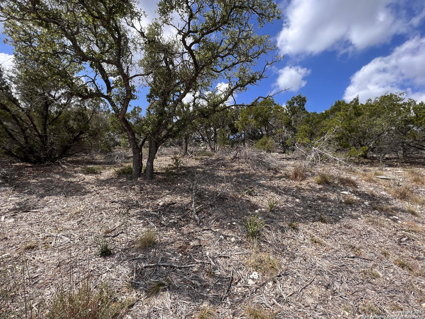 868 Bell Cyn Way Bulverde, TX 78163 - Photo 5 of 9
