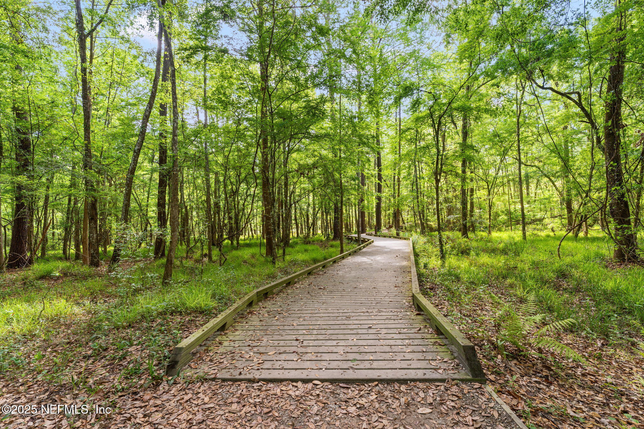 267 Windswept Way St. Augustine, FL 32092 - Photo 42 of 50 a view of a pathway of a park