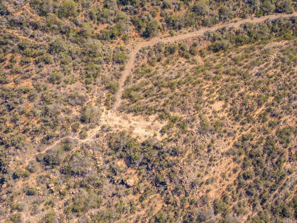 0 Iron Mountain Drive Poway, CA 92064 - Photo 19 of 20 a close up of a plant