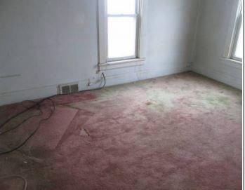 559 Pennsylvania Avenue Rochester, PA 15074 - Photo 6 of 8 Gallery Image 6