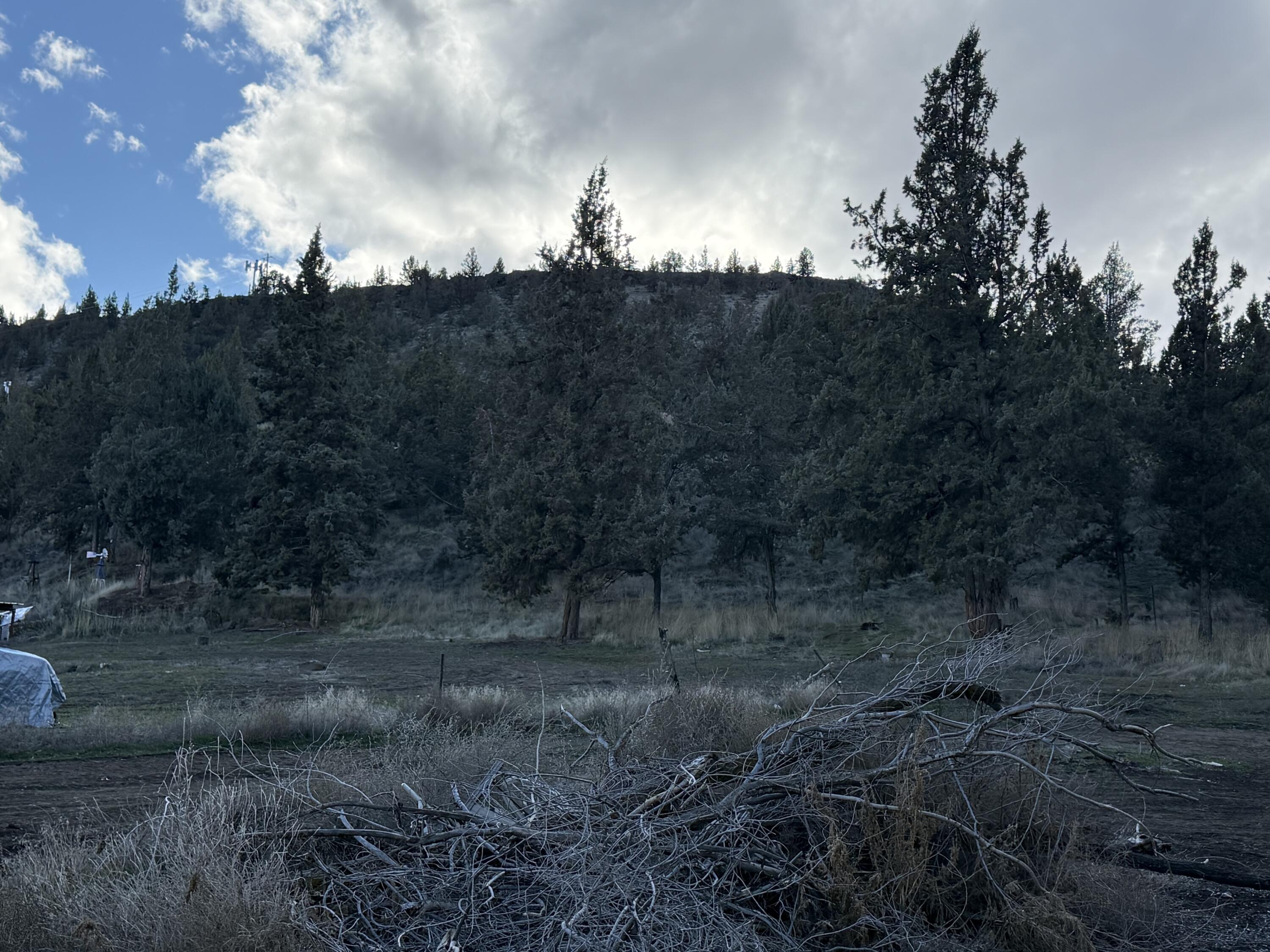 625 Southwest Crestview Road Prineville, OR 97754 - Photo 2 of 8 Gallery Image 2