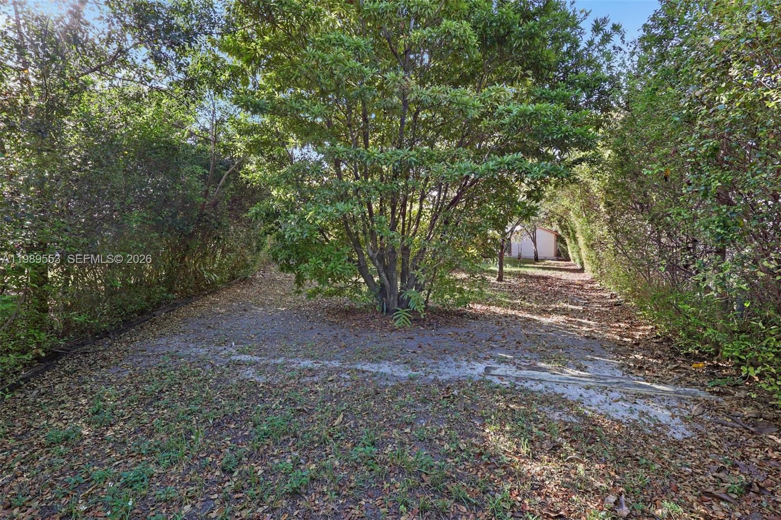 4210 Southwest 134th Avenue Miami, FL 33175 - Photo 23 of 32 a view of a backyard with large trees