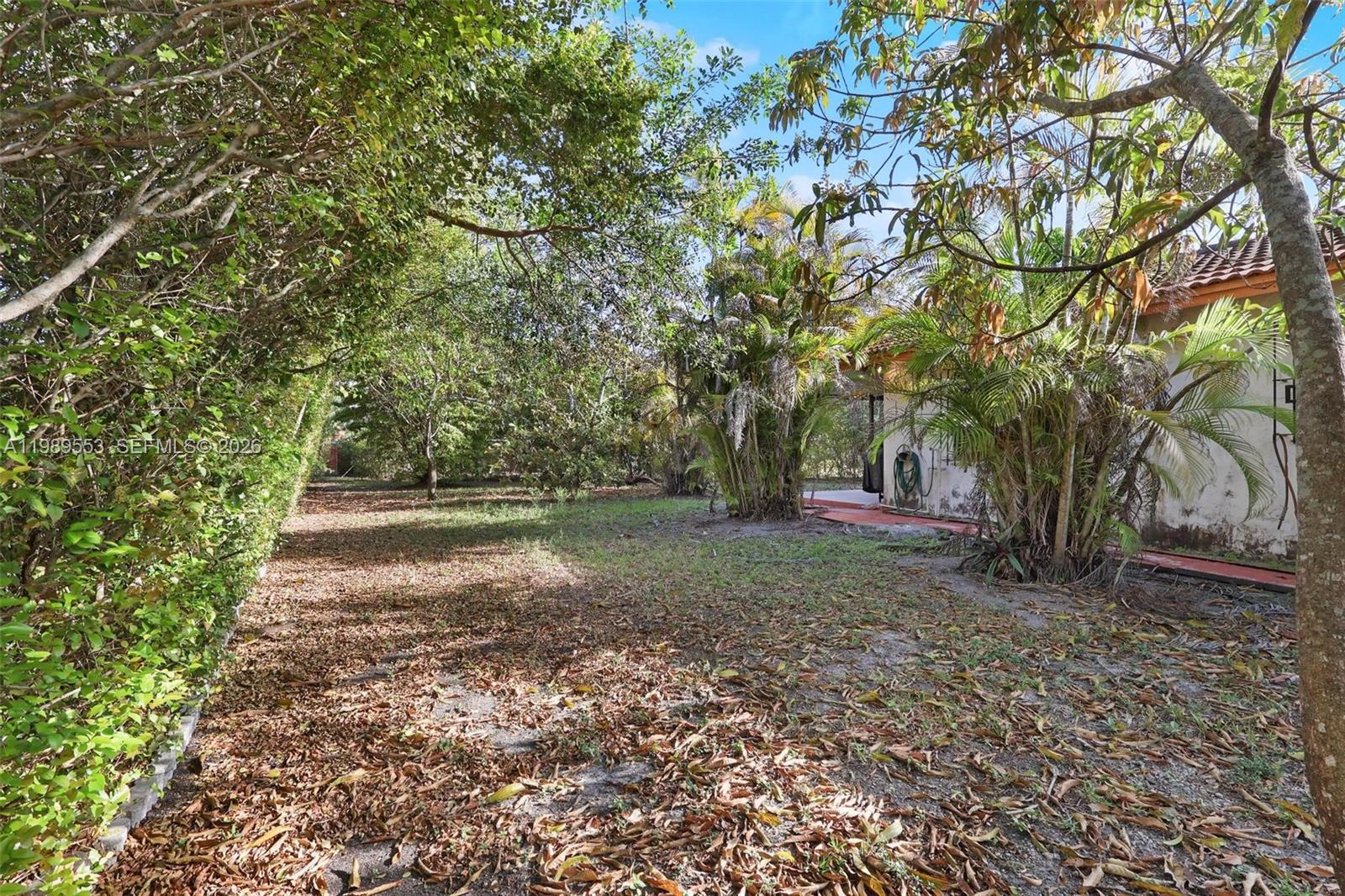 4210 Southwest 134th Avenue Miami, FL 33175 - Photo 7 of 32 a view of a yard with plants and trees