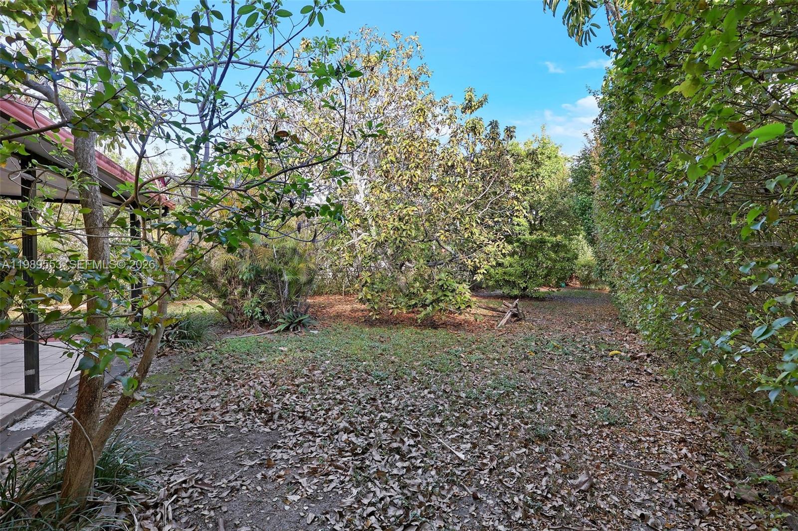 4210 Southwest 134th Avenue Miami, FL 33175 - Photo 8 of 32 a view of a yard with plants and large trees