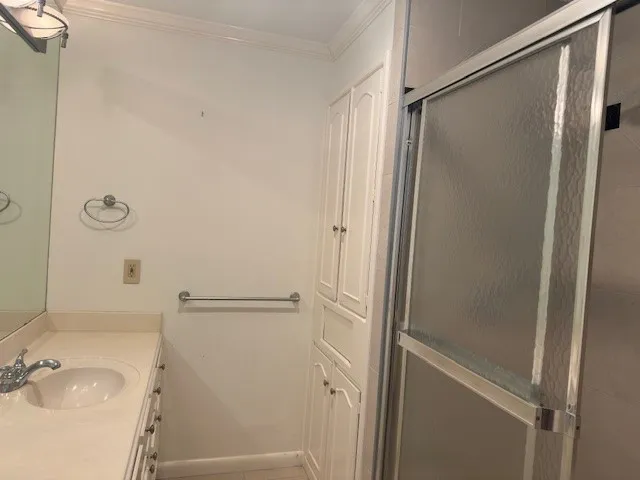 a bathroom with a shower and a sink