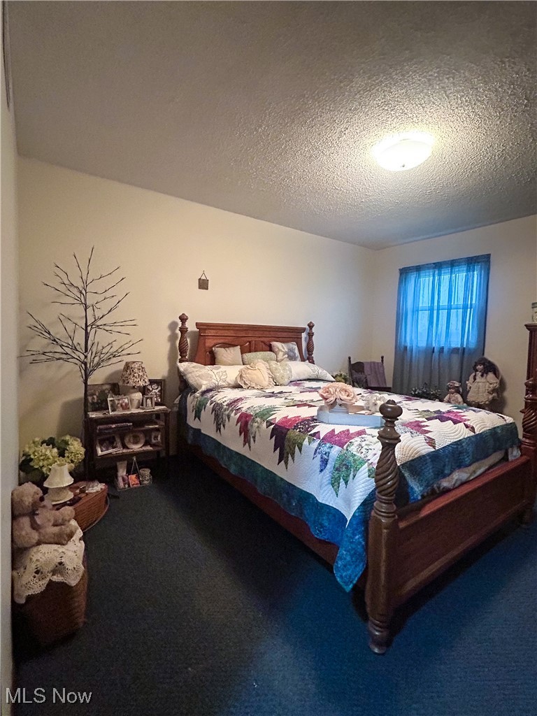 2242 South McCoy Ridge Road Stockport, OH 43787 - Photo 15 of 41 Carpeted bedroom with a textured ceiling