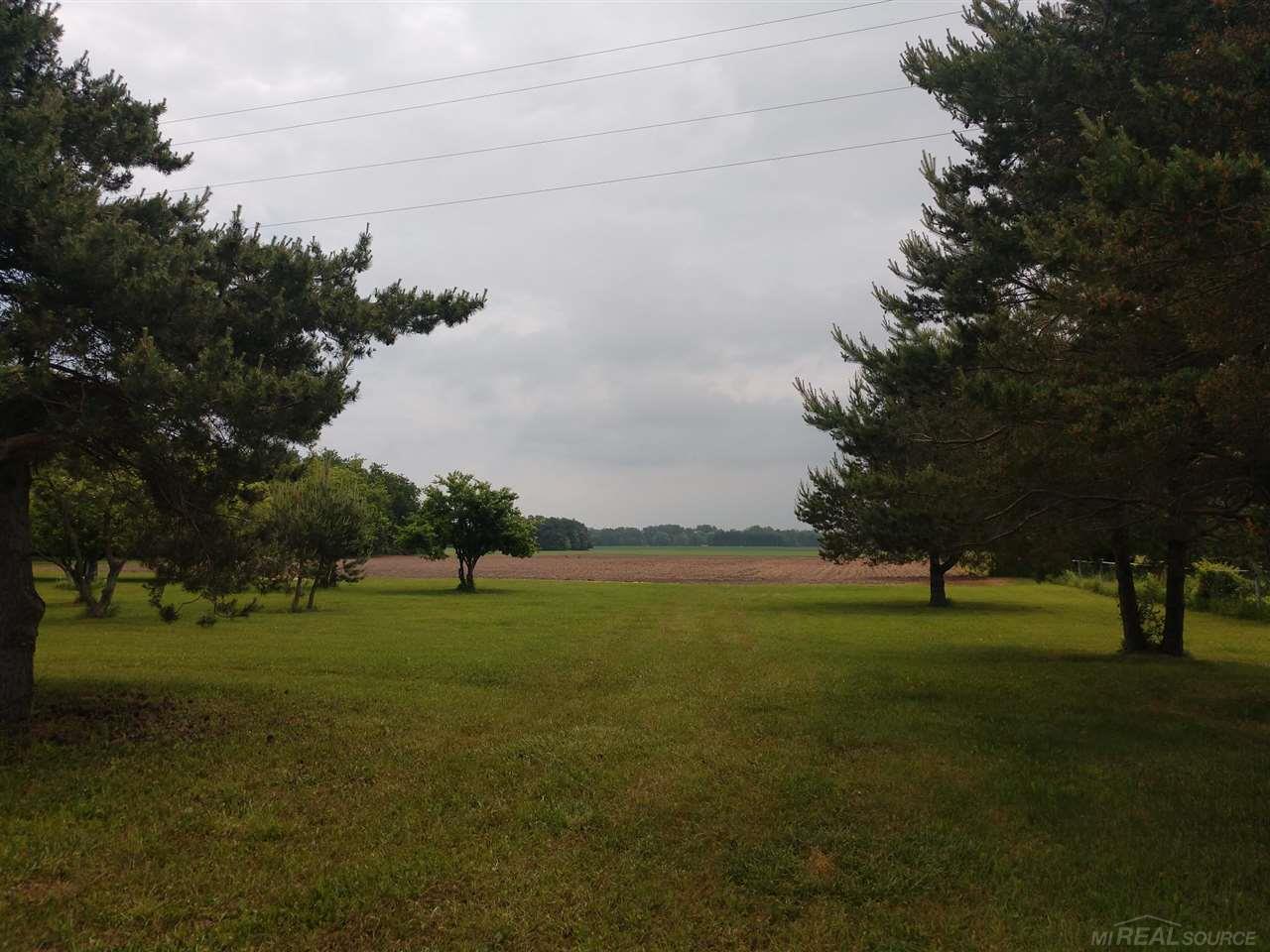 V/l Wagner Road Croswell, MI 48422 - Photo 8 of 11