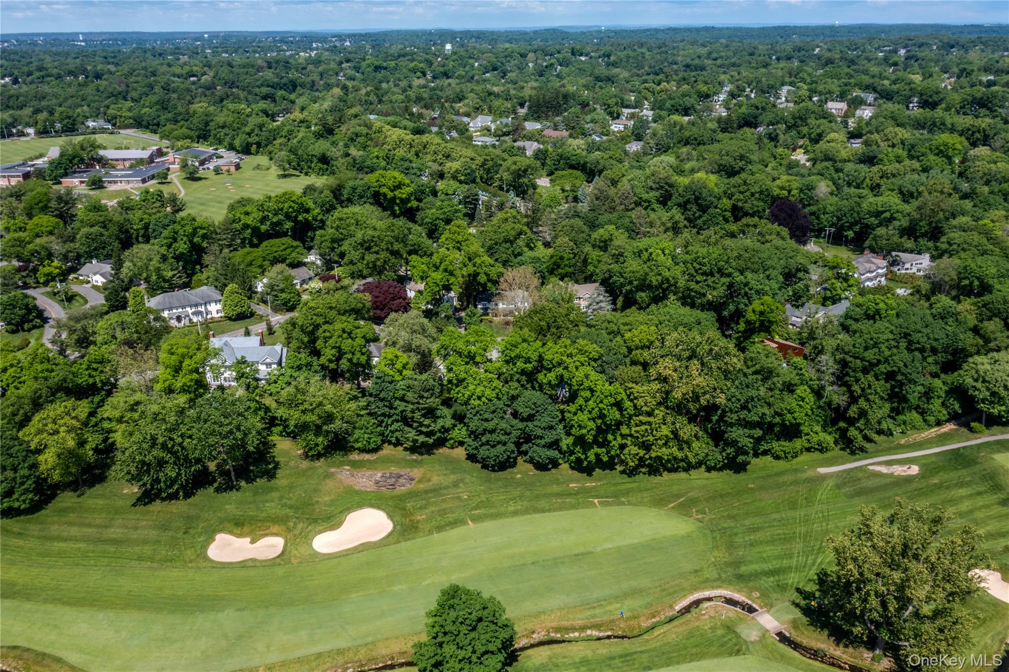 16 Meadow Road Scarsdale, NY 10583 - Photo 43 of 47 a view of a green yard with large trees