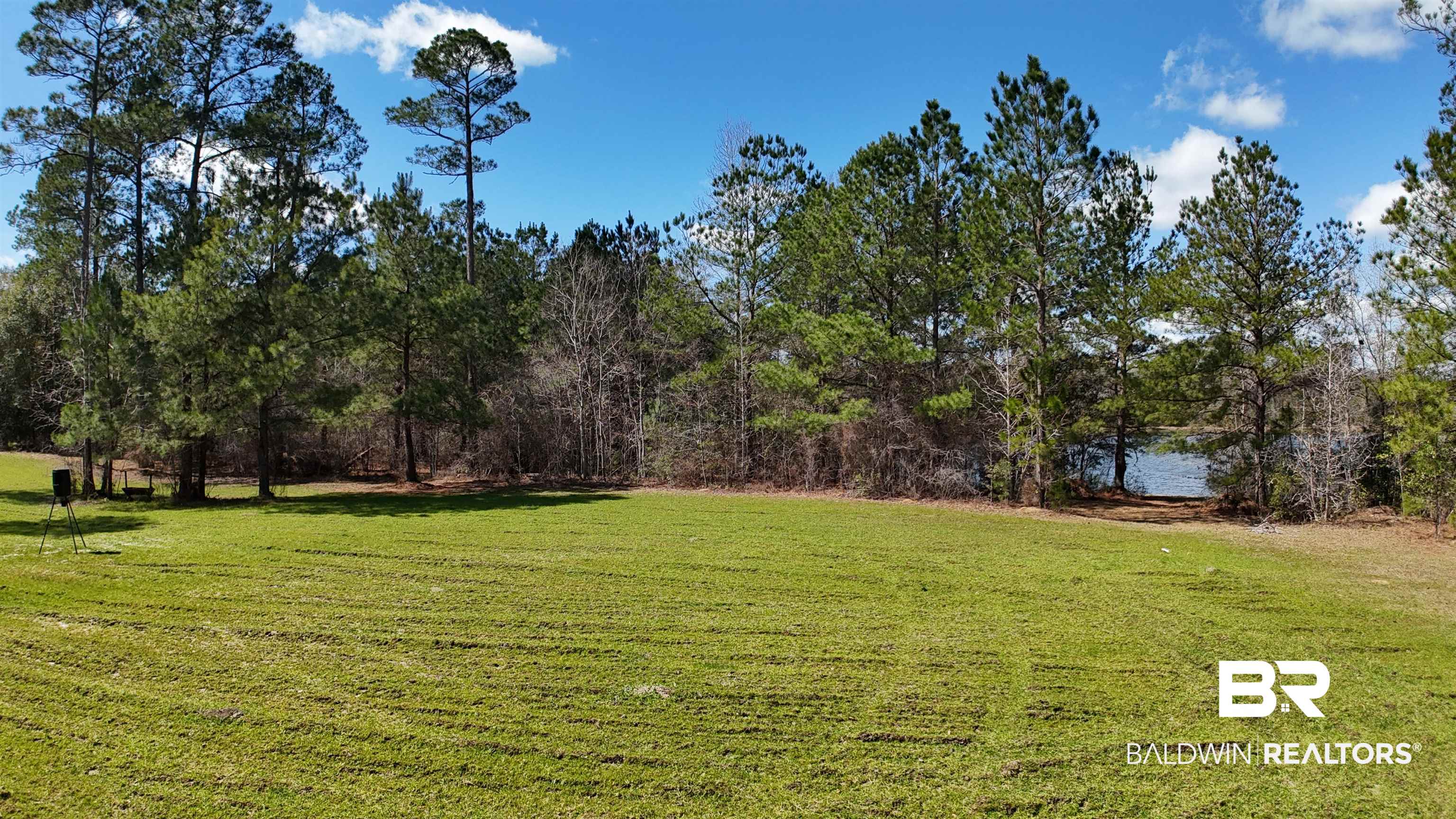 11808 Abb Road Tibbie, AL 36583 - Photo 4 of 31 View of yard