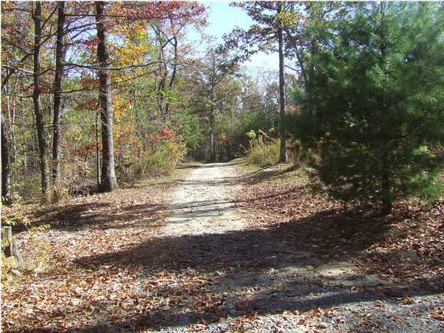 218 Dustin Road Spring City, TN 37381 - Photo 2 of 5 Additional Photo