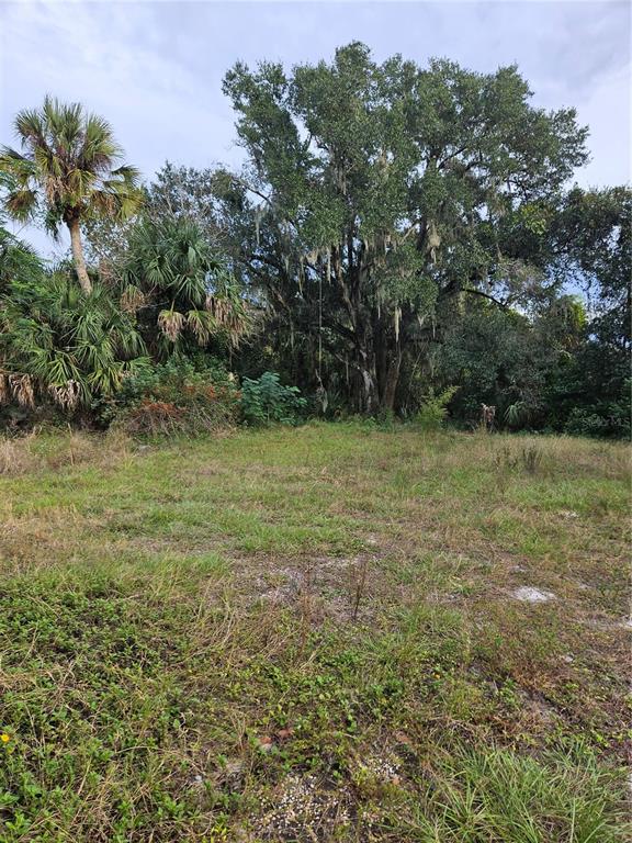 815 Snow Hill Road Geneva, FL 32732 - Photo 10 of 22 Gallery Image 10