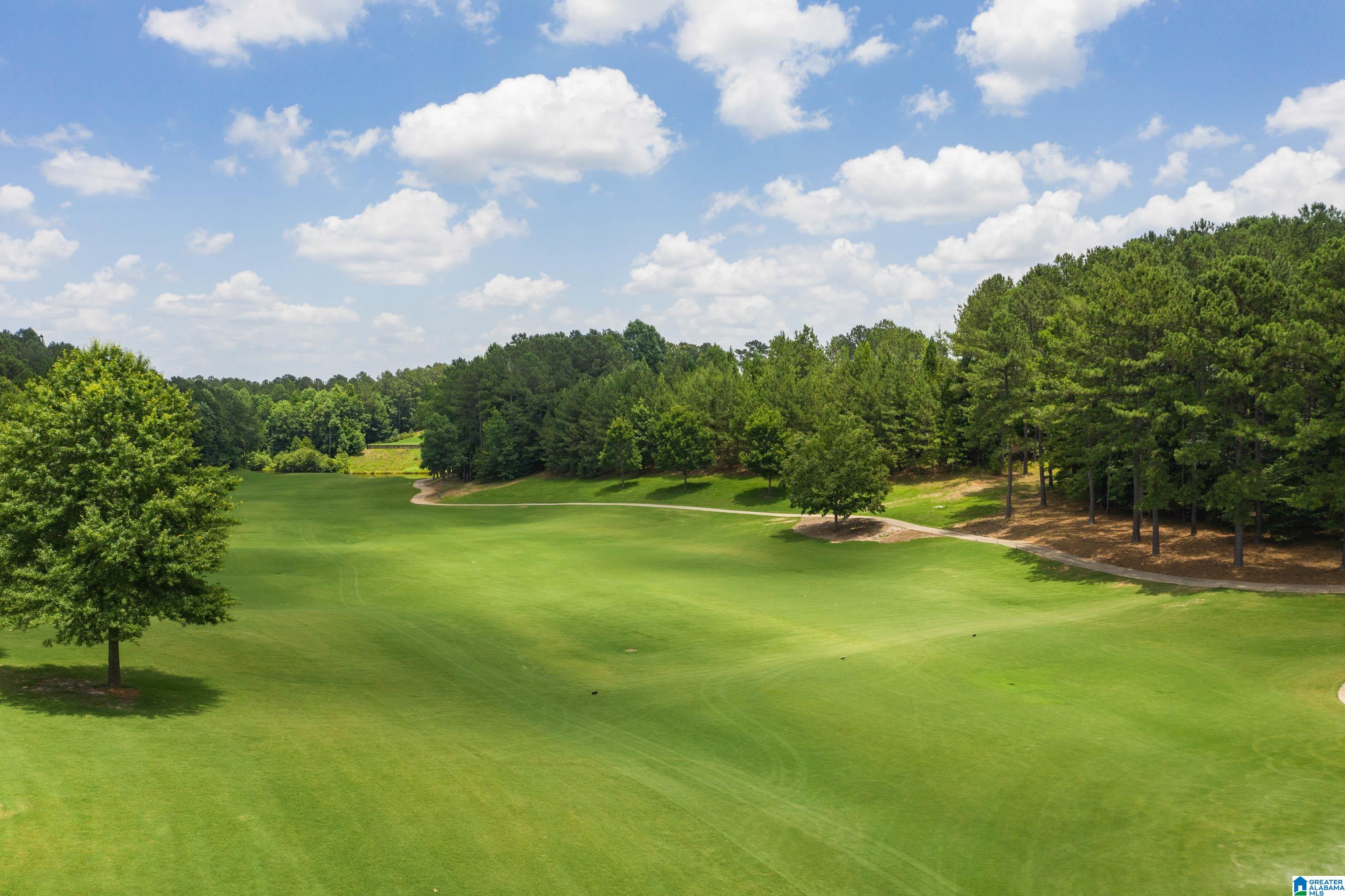 369 Strathaven Drive Pelham, AL 35124 - Photo 53 of 57