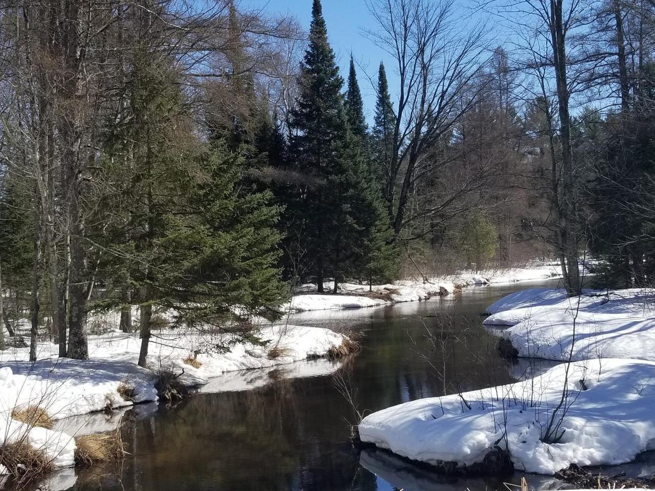37-acres Dereg Road Tomahawk, WI 54487 - Photo 1 of 10 Gallery Image 1