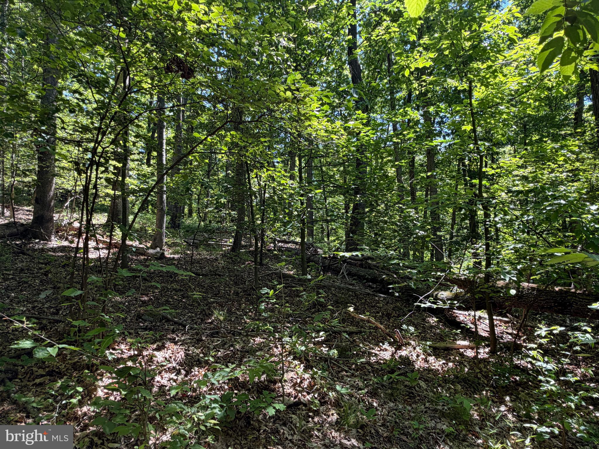 944 Decker Hollow Road Tyrone, PA 16686 - Photo 33 of 82