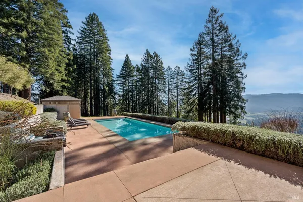 a view of backyard and outdoor space