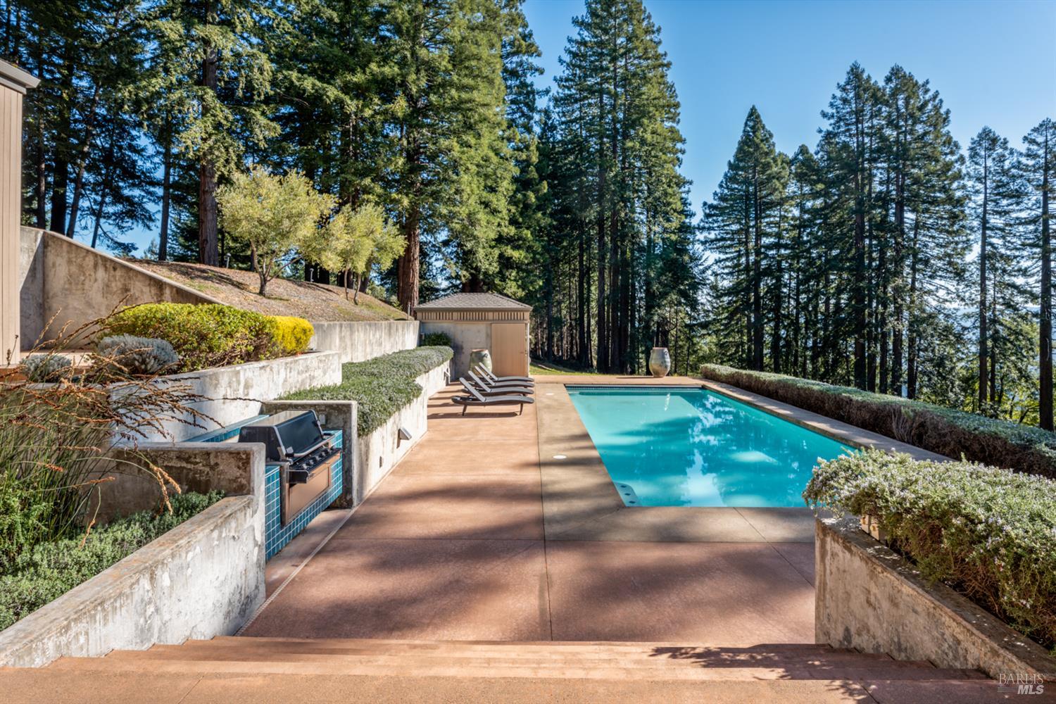 700 Holmes Ranch Road Philo, CA 95466 - Photo 4 of 42 a view of a yard with plants