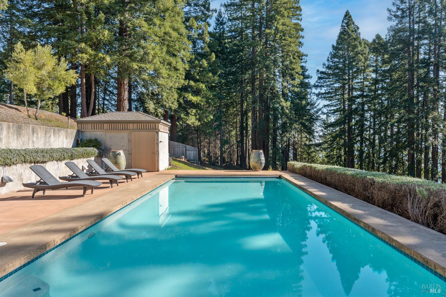 700 Holmes Ranch Road Philo, CA 95466 - Photo 5 of 42 a view of a backyard with swimming pool