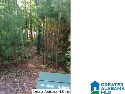Saunders Bridge Road Sterrett, AL 35147 - Photo 12 of 15