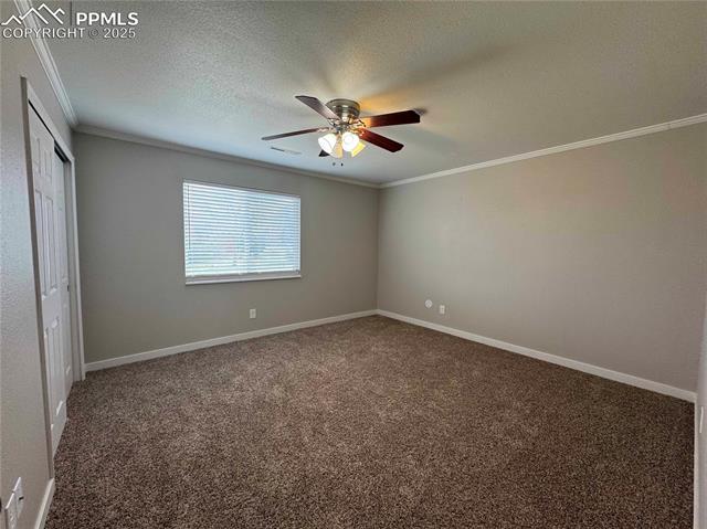 4420 Galley Road Colorado Springs, CO 80915 - Photo 12 of 20 Unfurnished bedroom with ornamental molding, a textured ceiling, carpet, a closet, and baseboards