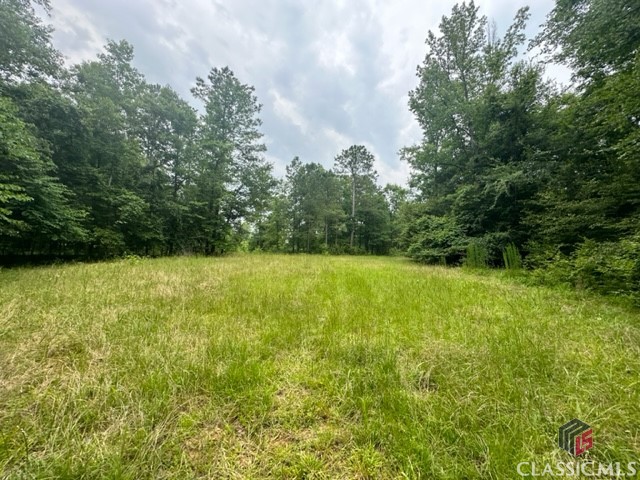 1070 Washington Road Athens, GA 30605 - Photo 3 of 26 Gallery Image 3