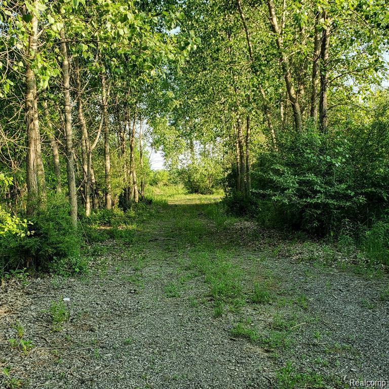 4441 West Willard Road Birch Run, MI 48415 - Photo 7 of 15 GetMedia (25).jpeg