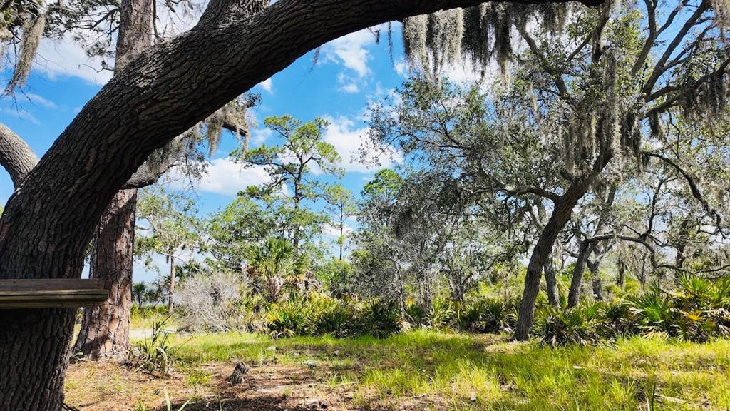 0 Clark Island Cedar Key, FL 32625 - Photo 21 of 24