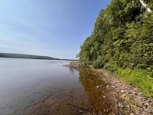 $100,000 | Lot 35 Woodland Ridge Road, Danforth, ME 04424