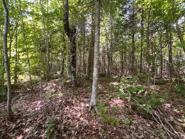 $100,000 | Lot 35 Woodland Ridge Road, Danforth, ME 04424