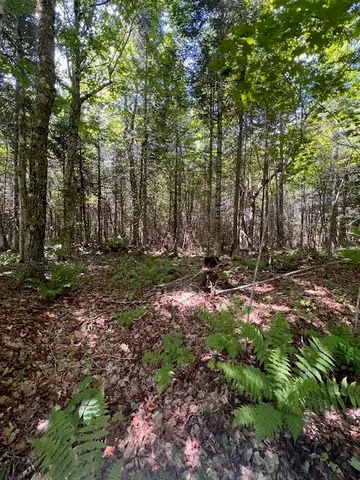 $100,000 | Lot 35 Woodland Ridge Road, Danforth, ME 04424