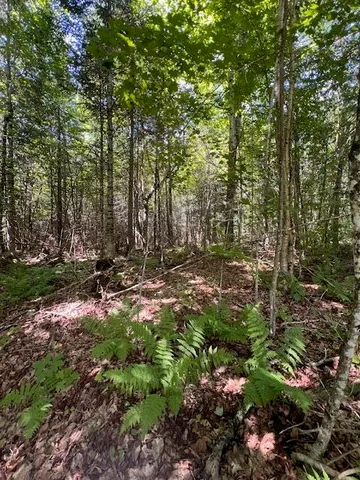 $100,000 | Lot 35 Woodland Ridge Road, Danforth, ME 04424