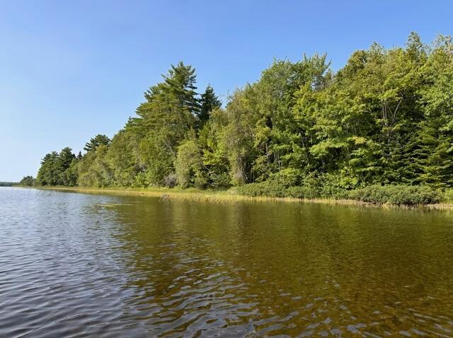 Lot 35 Woodland Ridge Road Danforth, ME 04424 - Photo 3 of 17 IMG_6587