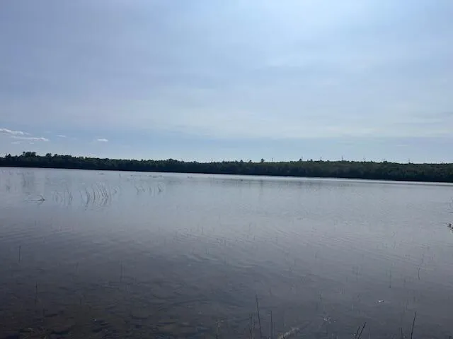 $100,000 | Lot 35 Woodland Ridge Road, Danforth, ME 04424