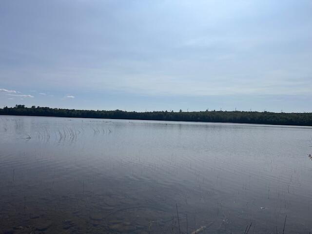 Lot 35 Woodland Ridge Road Danforth, ME 04424 - Photo 9 of 17 IMG_6582