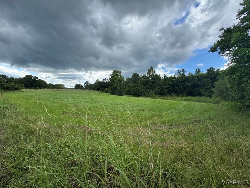 2 White Tail Ridge Deatsville, AL 36022 - Photo 2 of 16 Gallery Image 2