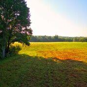 1 Carl Perry Road Joelton, TN 37080 - Photo 3 of 7 Gallery Image 3